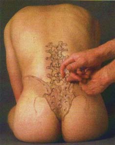 neurovegetative ruecken