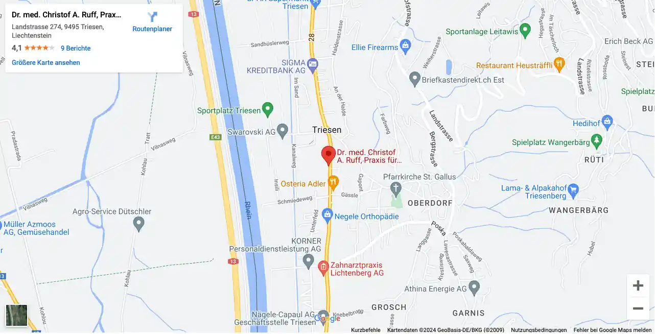 Google Maps - Map ID b9eb9937