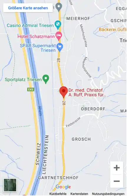 Google Maps - Map ID 545c0b00